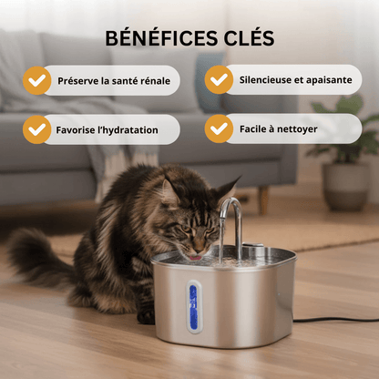 FéliFlow™ – Fontaine à Eau pour chat