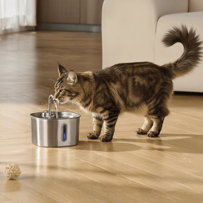 FéliFlow™ – Fontaine à Eau pour chat