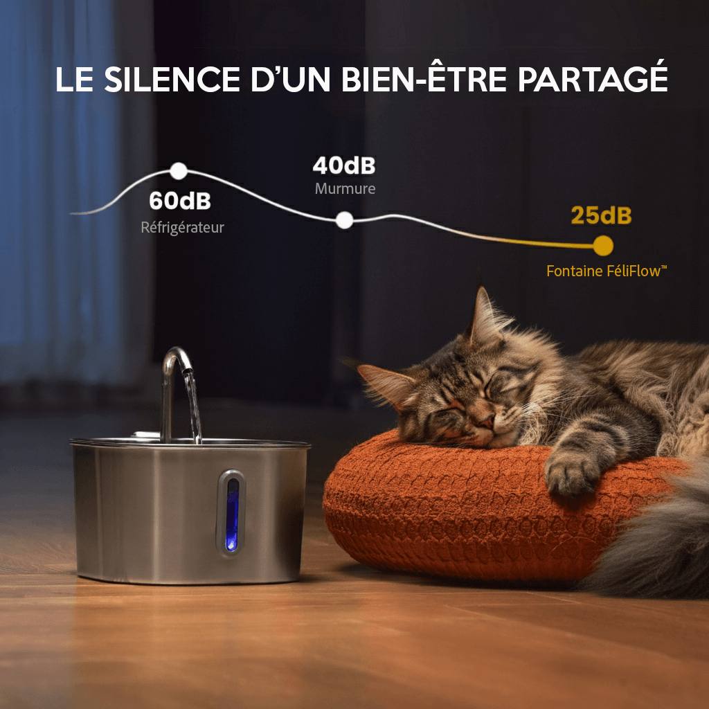 FéliFlow™ – Fontaine à Eau pour chat