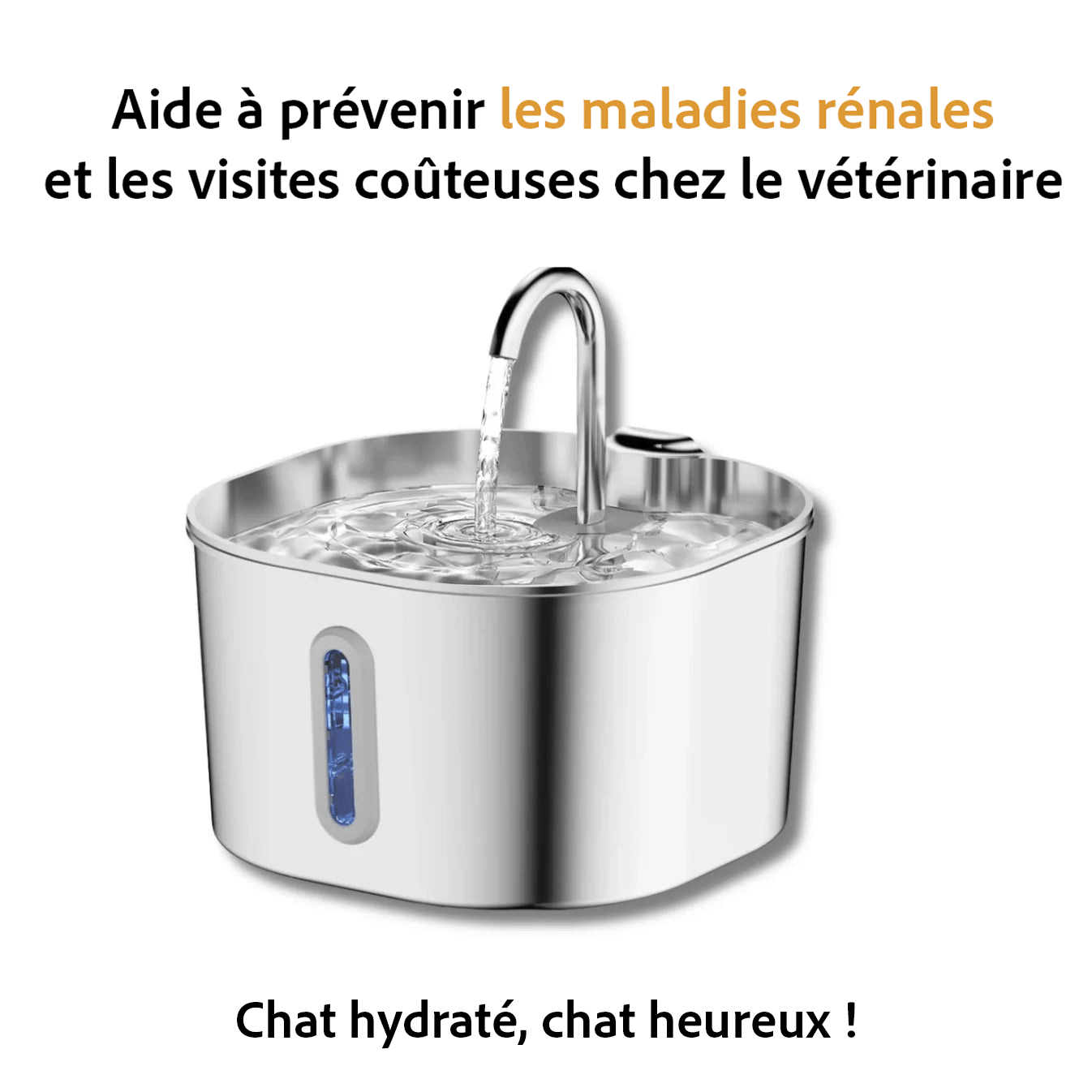 FéliFlow™ – Fontaine à Eau pour chat
