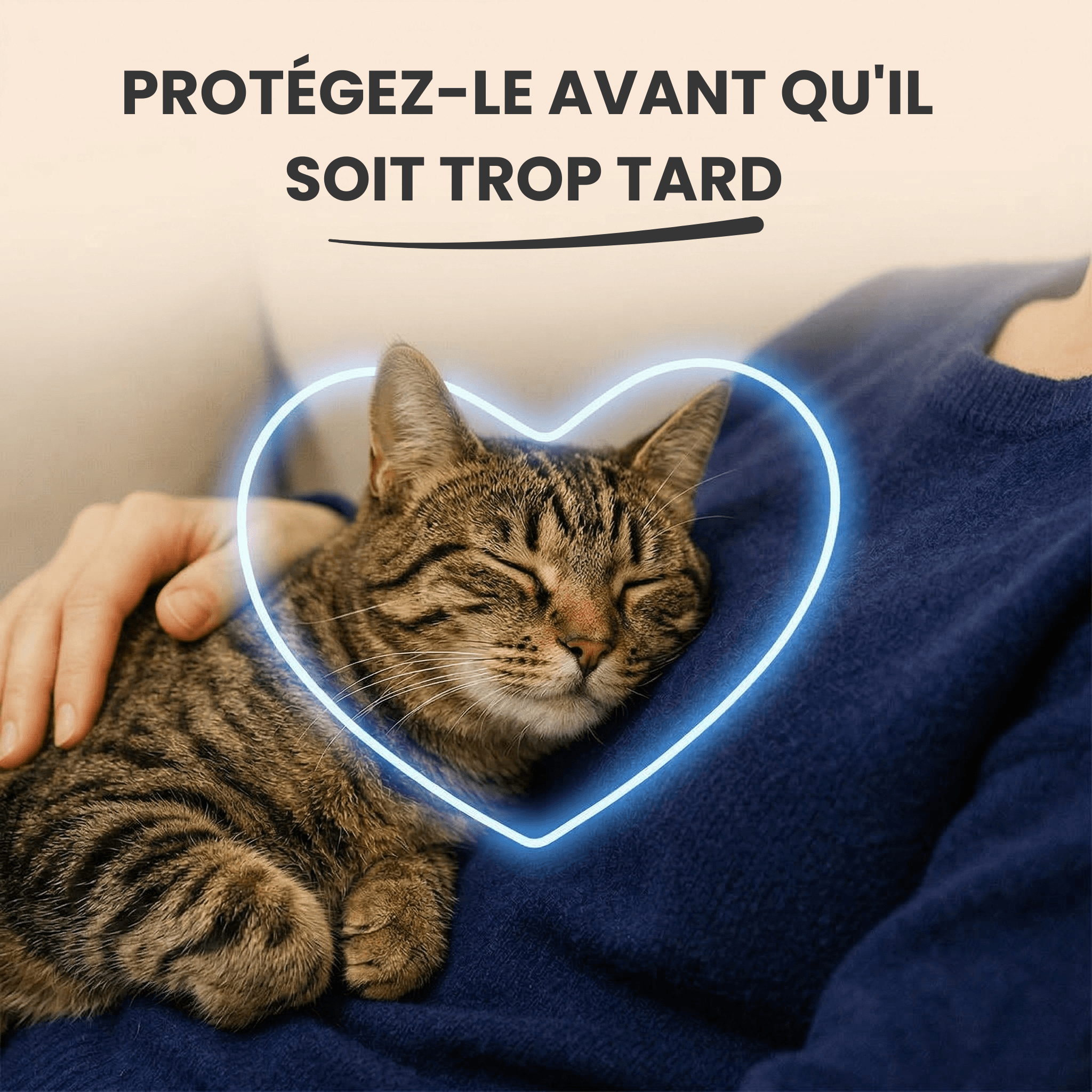 TauriPure™ – Complément de Taurine pour Chat